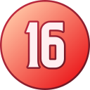 16 icon