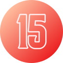 15 icon