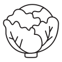 Здоровый icon