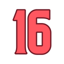 16 icon