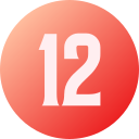 12 icon