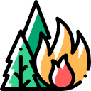 fuego icon