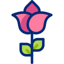 rosa icon