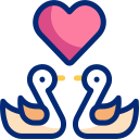 cisnes icon