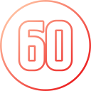 60 icon