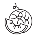 Фрукты icon