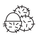 Фрукты icon