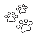 Кот 