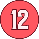 12 icon