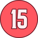 15 icon