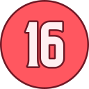 16 icon