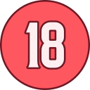 18 icon