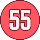 55 icon