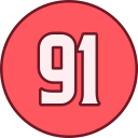 91 icon