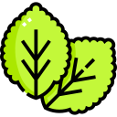 menta icon