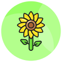 naturaleza icon