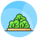 naturaleza icon