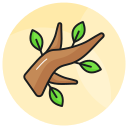 naturaleza icon