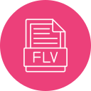 flv icon