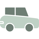 microcoche icon