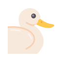 pato icon