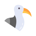 gaviota icon