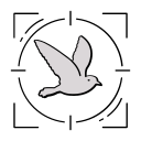 pájaro icon