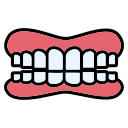 Dentures 