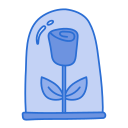 rosa icon