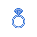 anillo icon