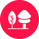 bosque icon