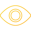 ojo icon