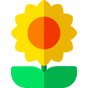 girasol icon