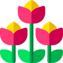 flores icon