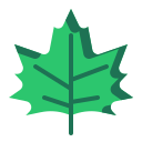 naturaleza icon