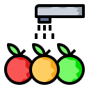 frutas icon