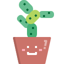 Лето 