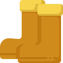 zapatos icon