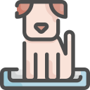 perro icon