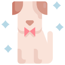 cachorro icon