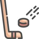 eis icon