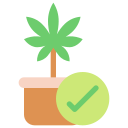 nature icon