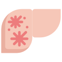 의료 