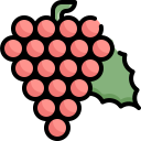 fruta icon