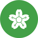 florecer icon