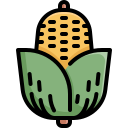 fruta icon