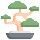 naturaleza icon