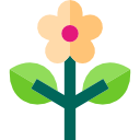 amapola icon