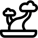 bonsai icon