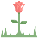 naturaleza icon